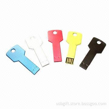 USB flash disk, 512MB key shaped USB disk, for promotional gift